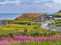 Norstead, Nowa Fundlandia